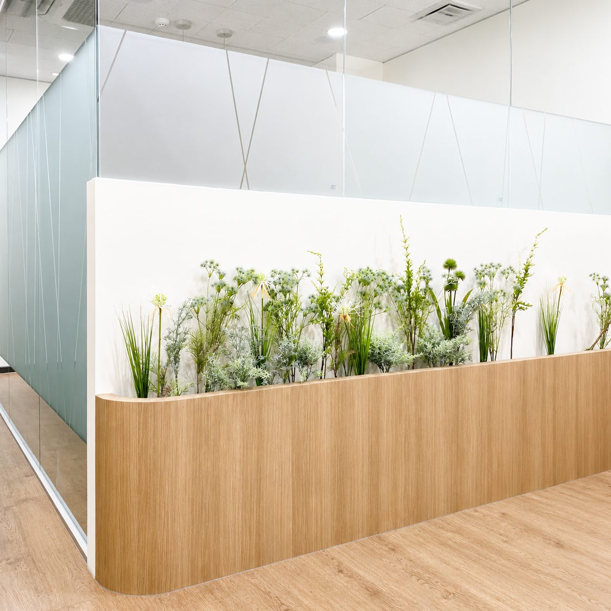 Section 2 Gallery 2