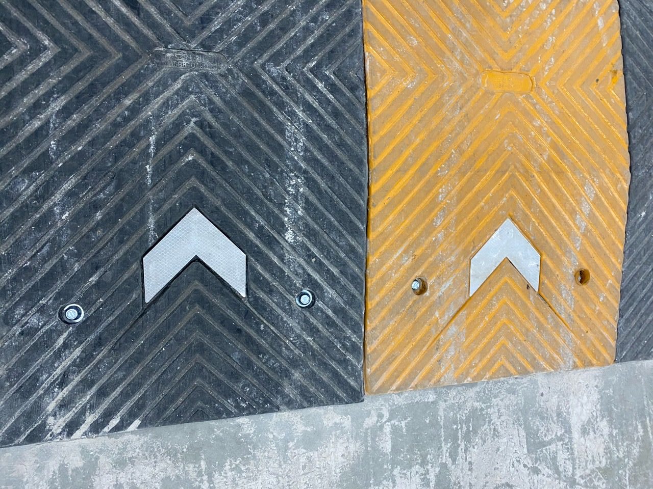 Section 1 Gallery 1