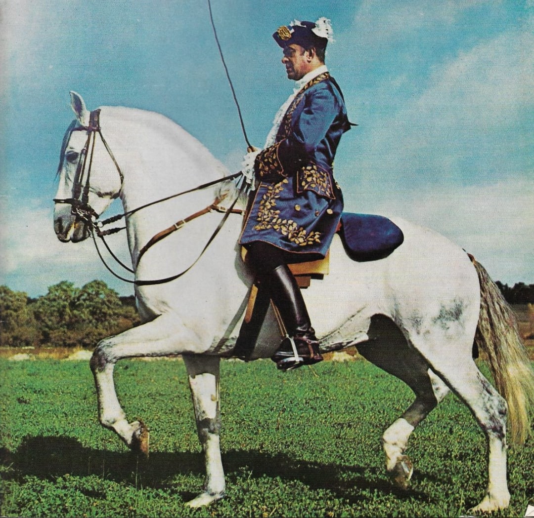 Nuno Oliveira on a horse.