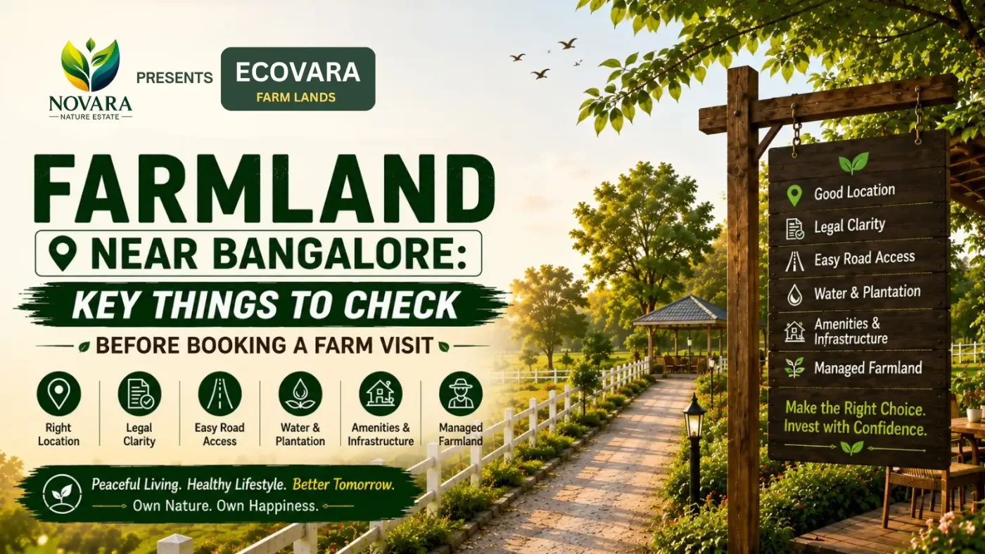 Farmland Near Bangalore: Things to Check Before a Farm Visit