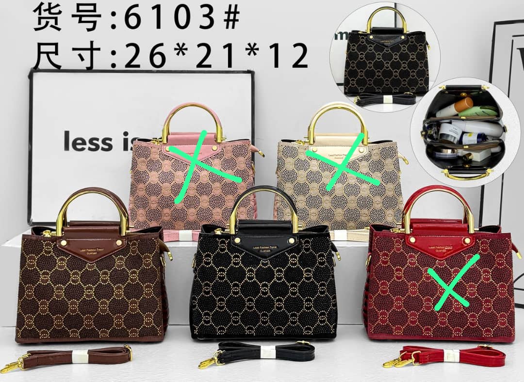 Other Mango bags.
