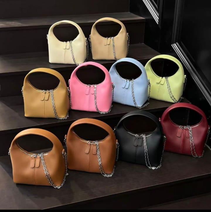 Gucci Chan bag 