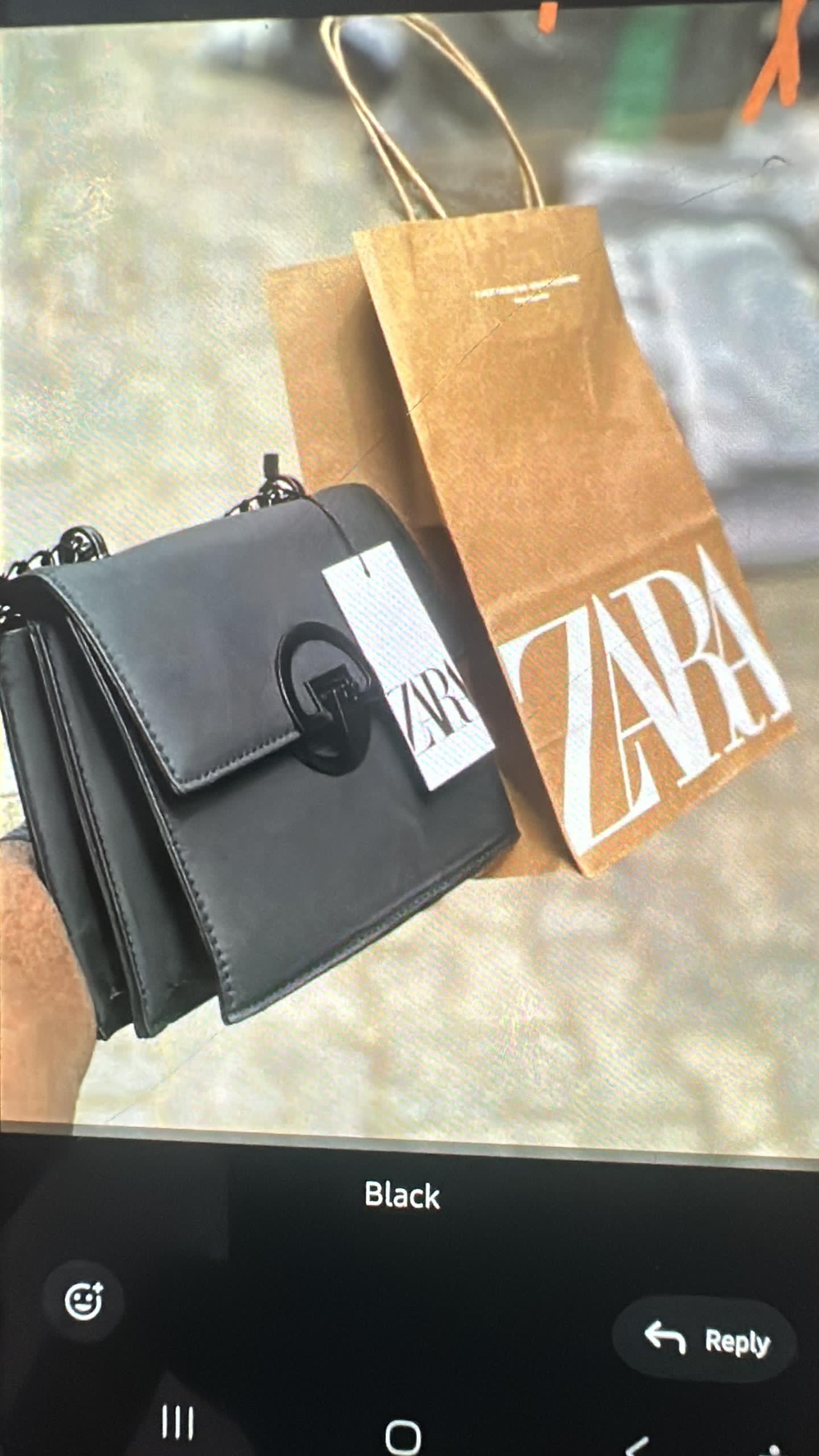 Louis Vuitton ZARA BAG 