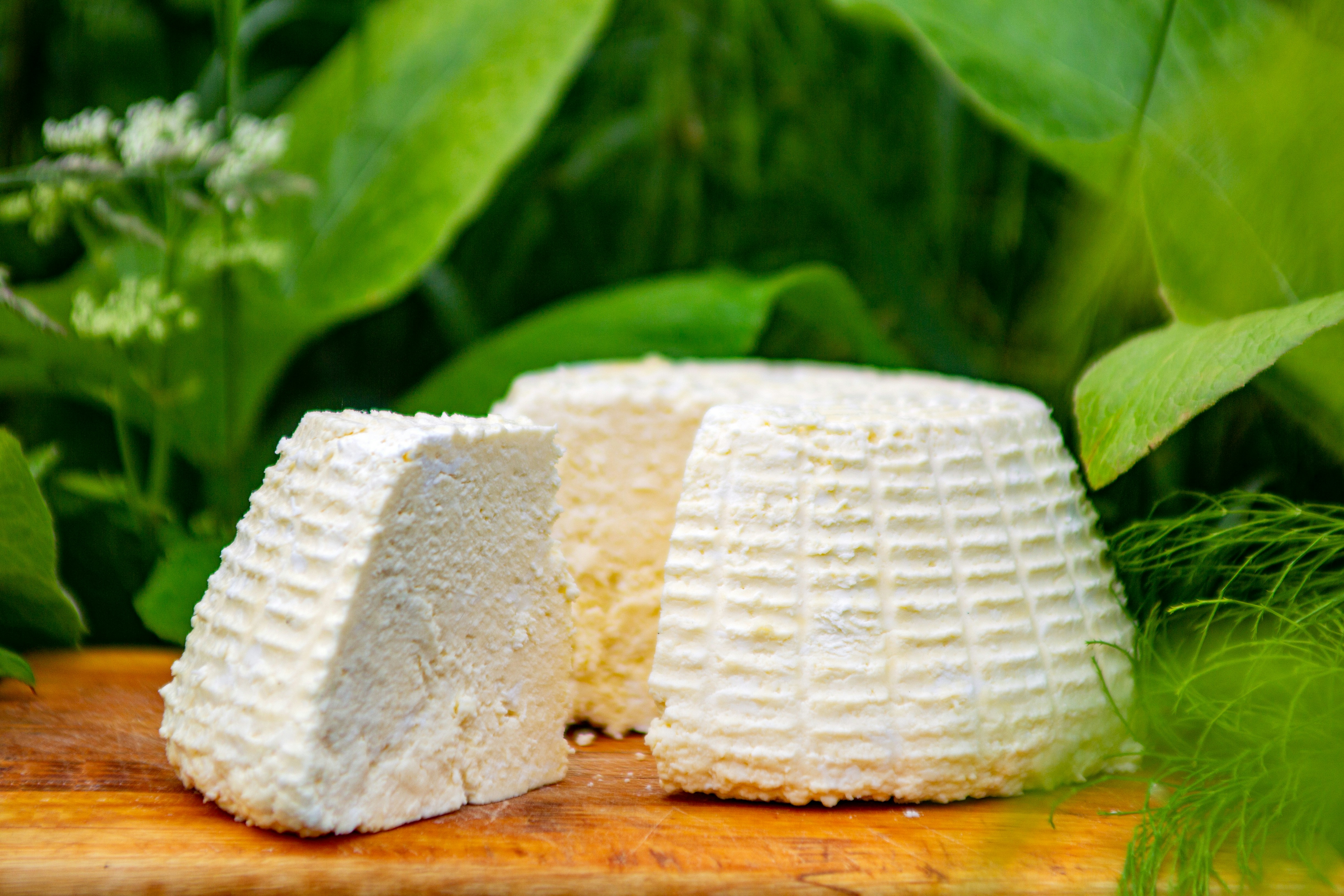 Fresh Chèvre