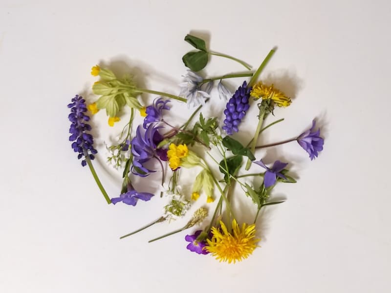Flower Food Sachets