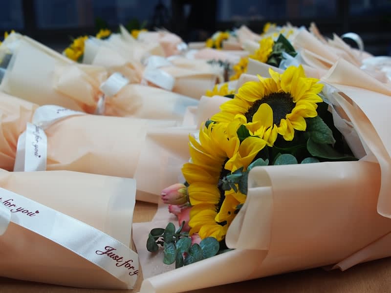 Sunflower Bundle