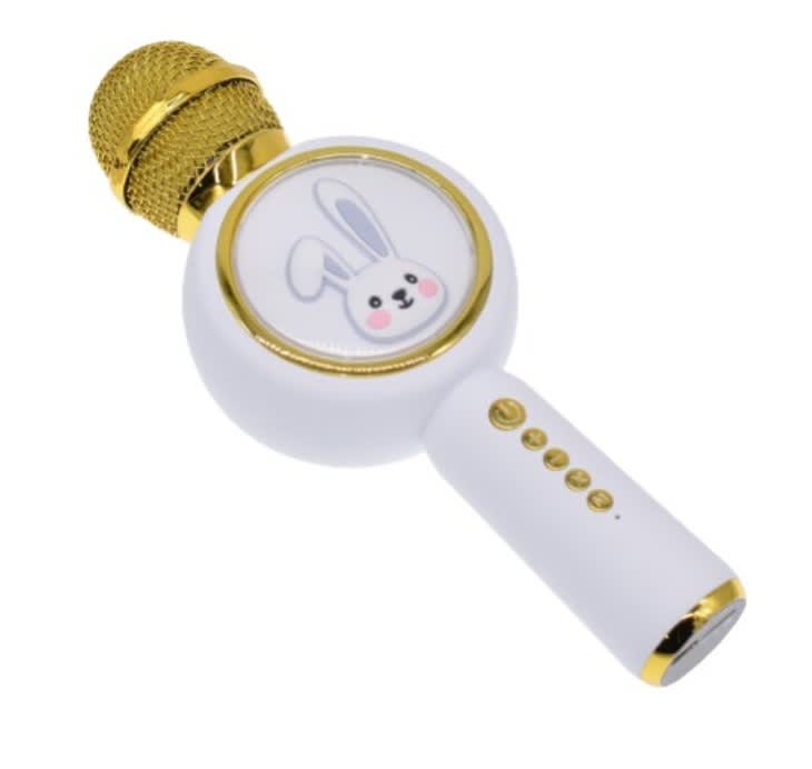 Microfon karaoke pentru copii, conectare Bluetooth