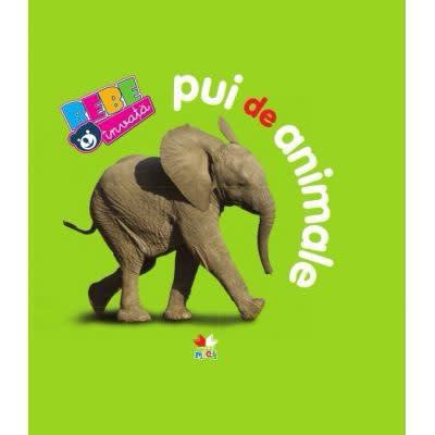 Carte educativa Bebe Invata Pui de Animale