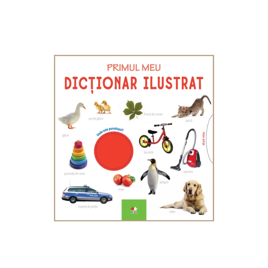Carte Primul meu dictionar ilustrat