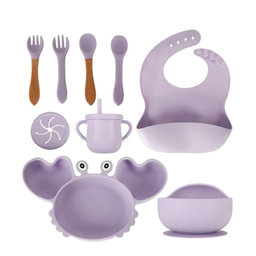 Set 9 piese diversificare bebelusi, culoare Mov