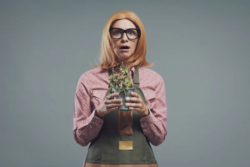 Plants That Could Take Us Out