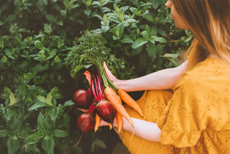 Five Advantages of Growing Your Own Food
