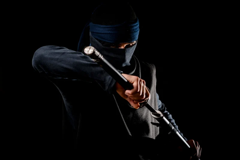 Five Fascinating Facts About Real Ninjas