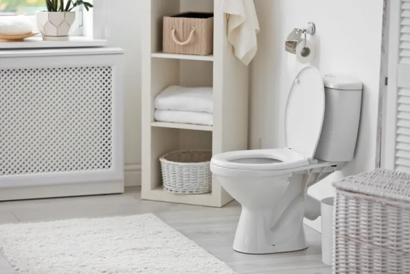 Things That Can Make Your Toilet Seem Clean Enough to Eat From
