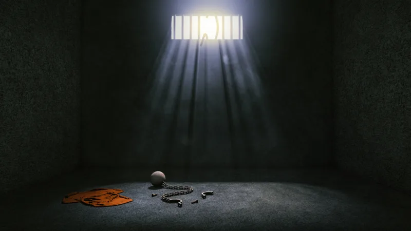 Five Ways To Legally Get Out of Prison