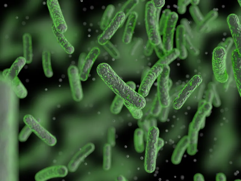 Surprising Places Bacteria Thrives: Unveiling the Microbial Hideouts