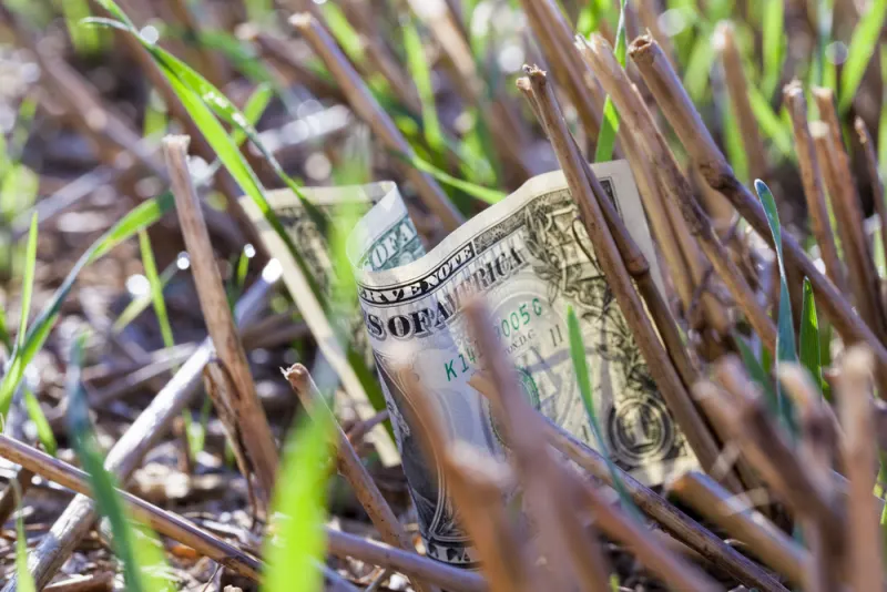 Problems GMOs Are Causing For Us