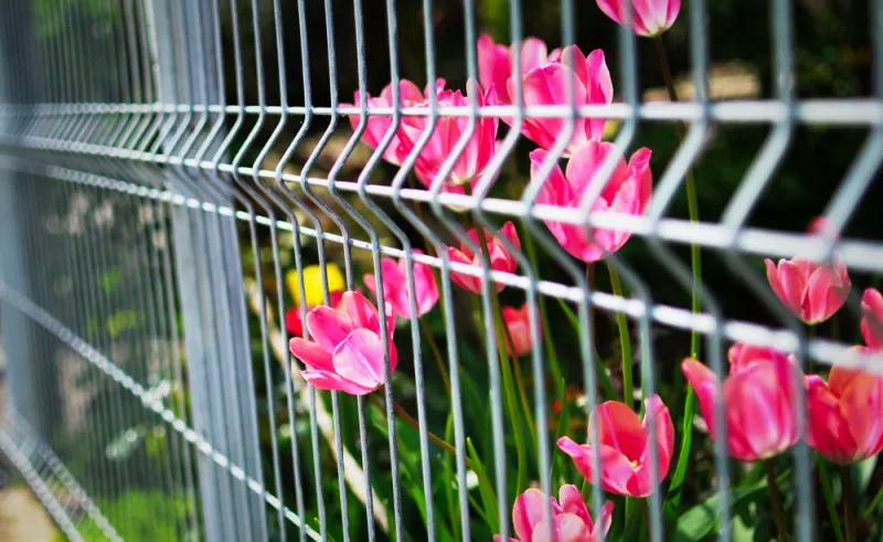 Beautiful But Deadly Flowers