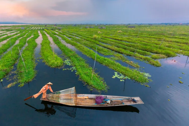 Weird Farms You Didn’t Know Existed