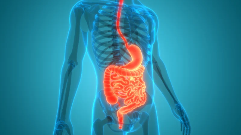  Facts About the Digestive System That'll Scare You