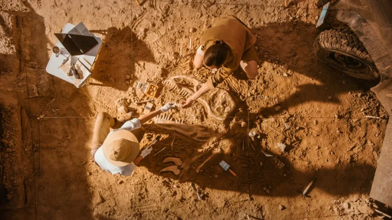 The Most Humiliating Archeological Bloopers in History