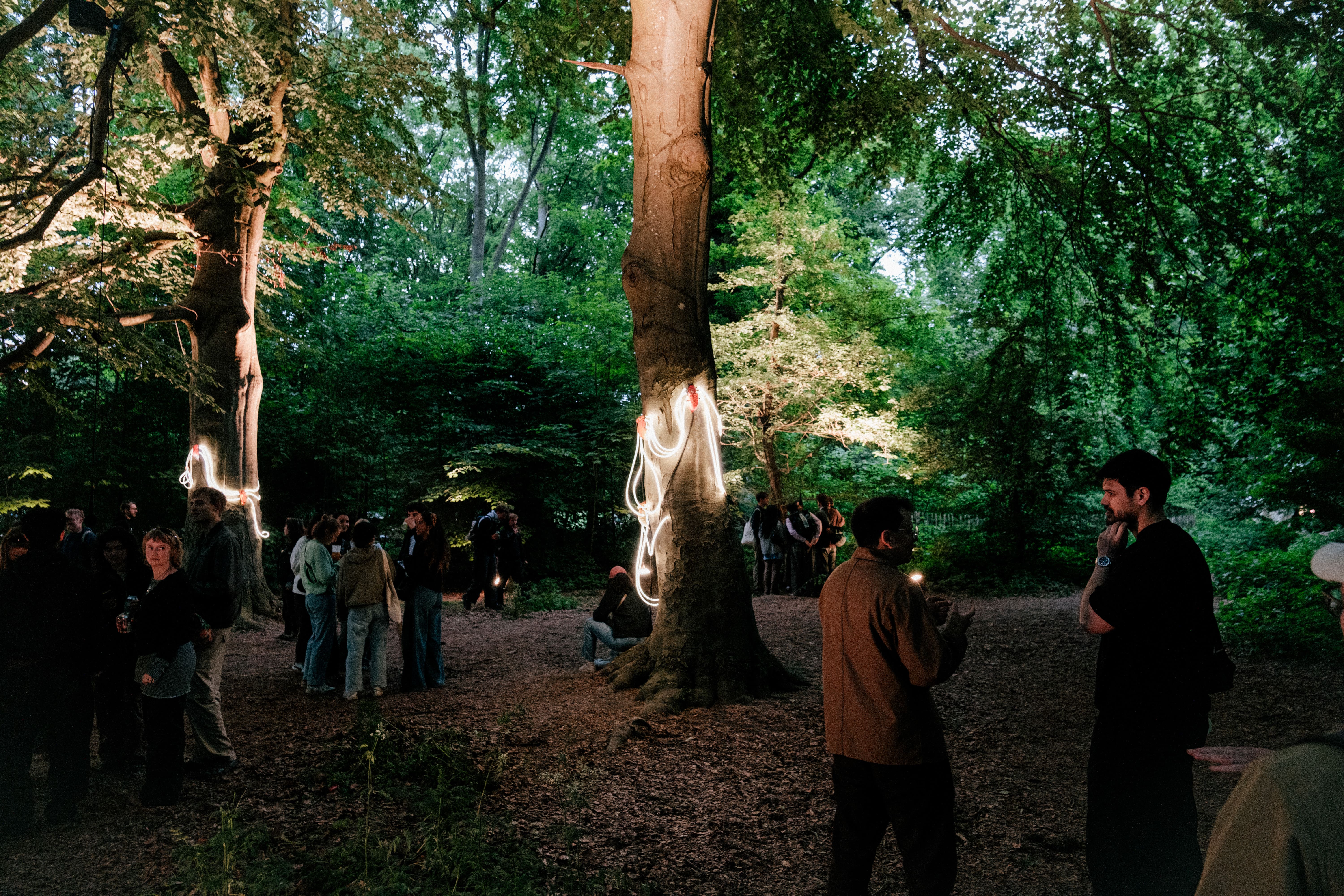 Talking Trees — 3