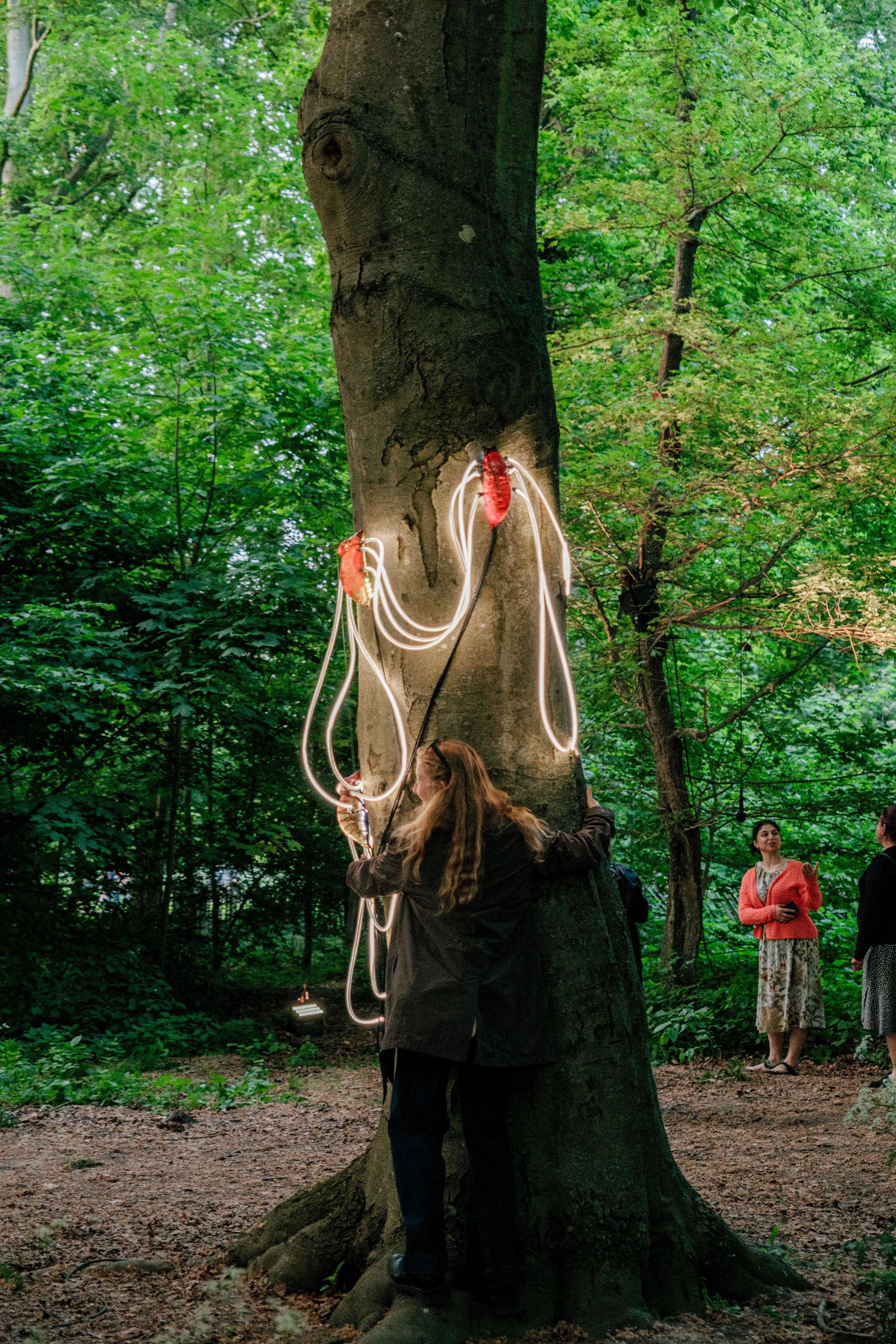 Talking Trees