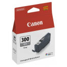 Image du produit pour Cartouche original Canon 4200C001 / PFI-300GY - gris