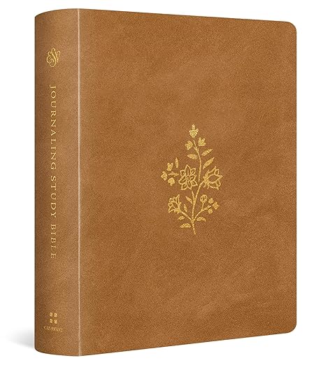 Holy Bible Esv Journaling