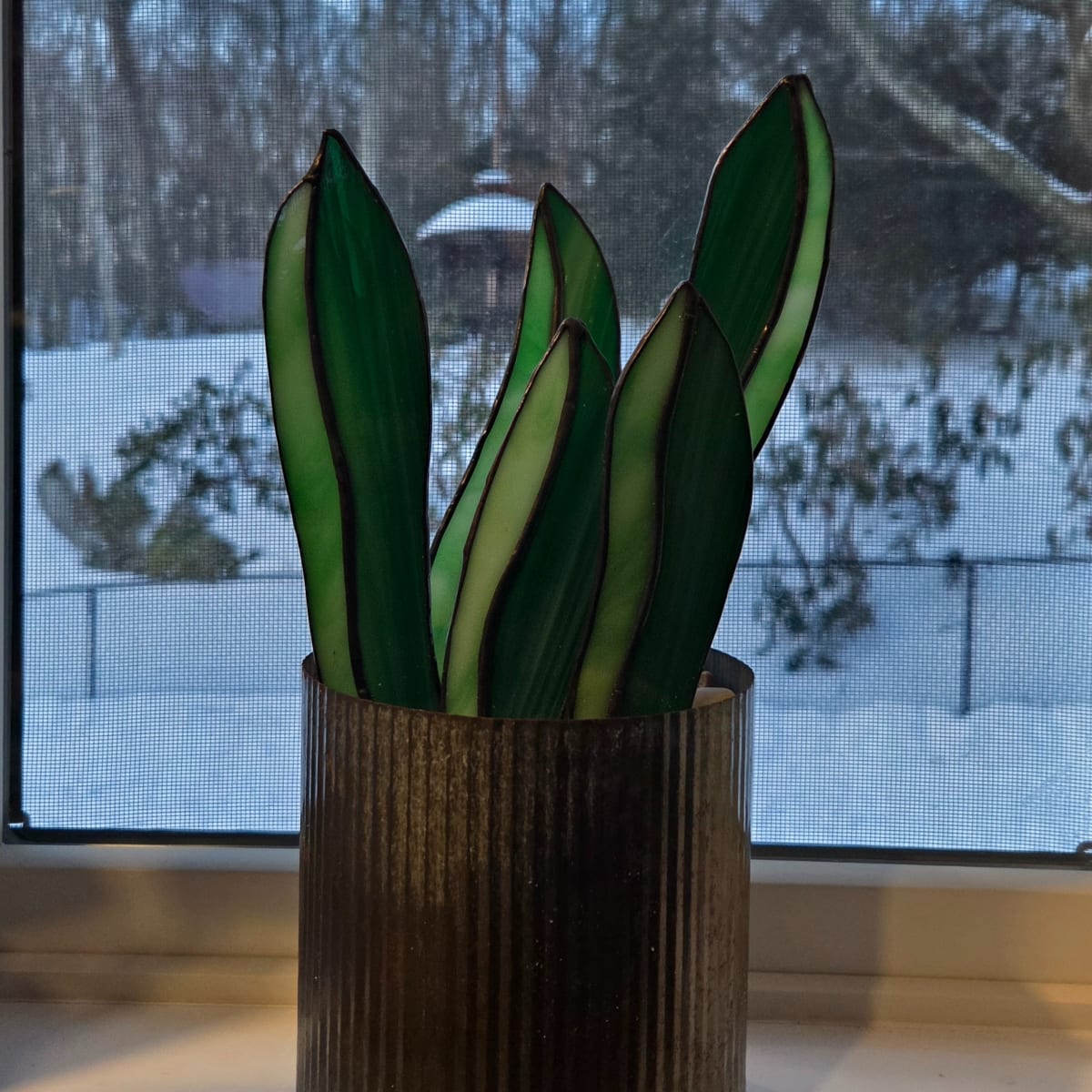 Snake plant in metal container