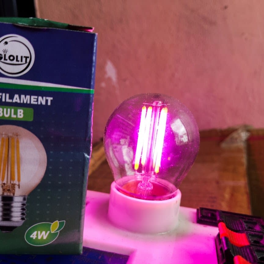 Bulb No. 10 — Bulbs