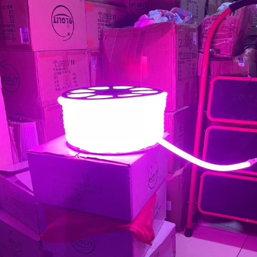 Snake light No. 01 — Snake lights