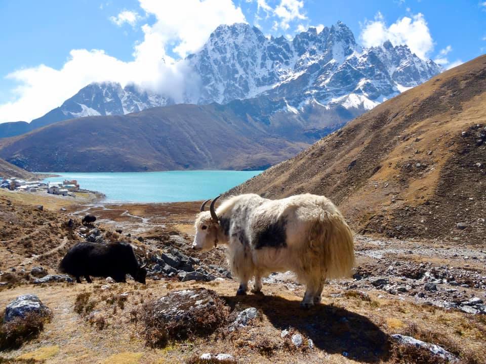 Gokyo Lakes Journey