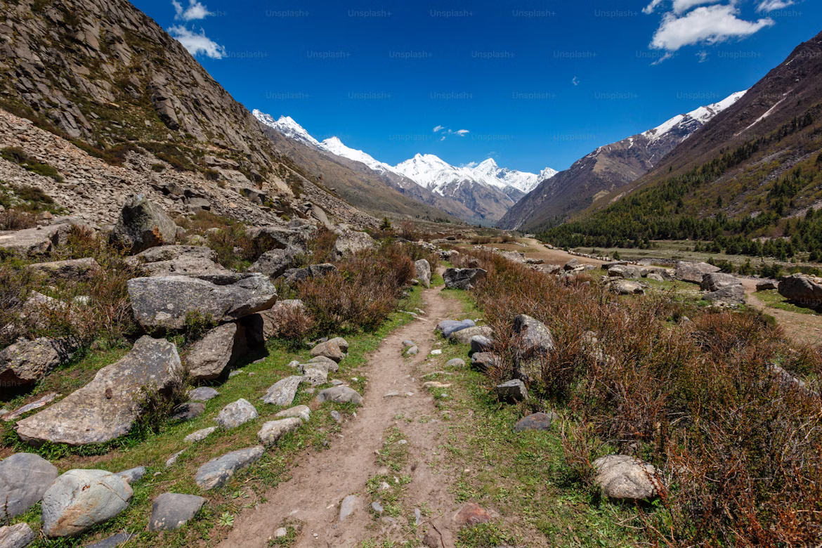 Druk Path Trek