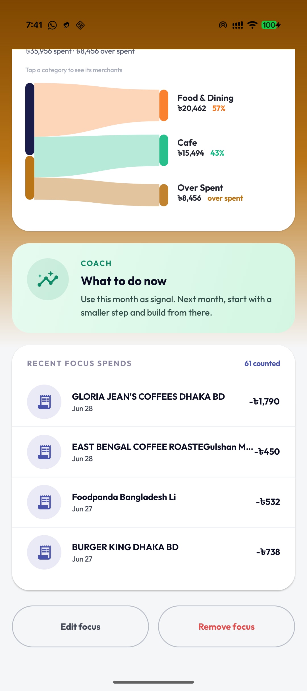 Ledgr Monthly Focus recent focus spends list with counted transactions and Edit or Remove focus actions