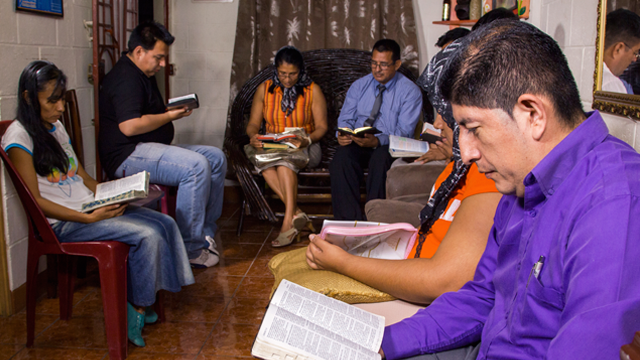 Celulas de Iglesia Bautista La Vid