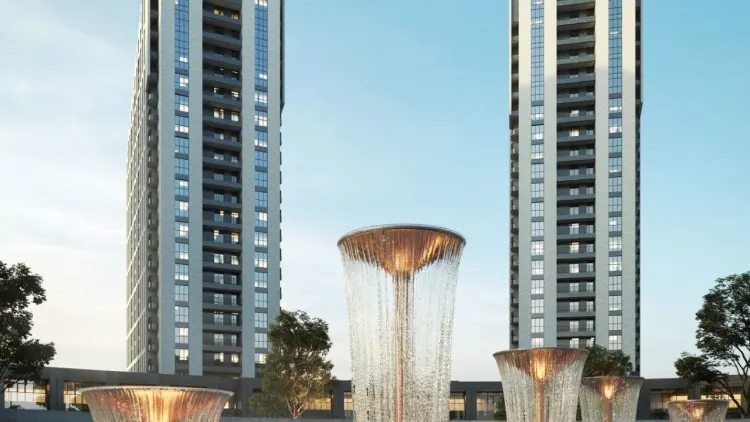 Project Image 2