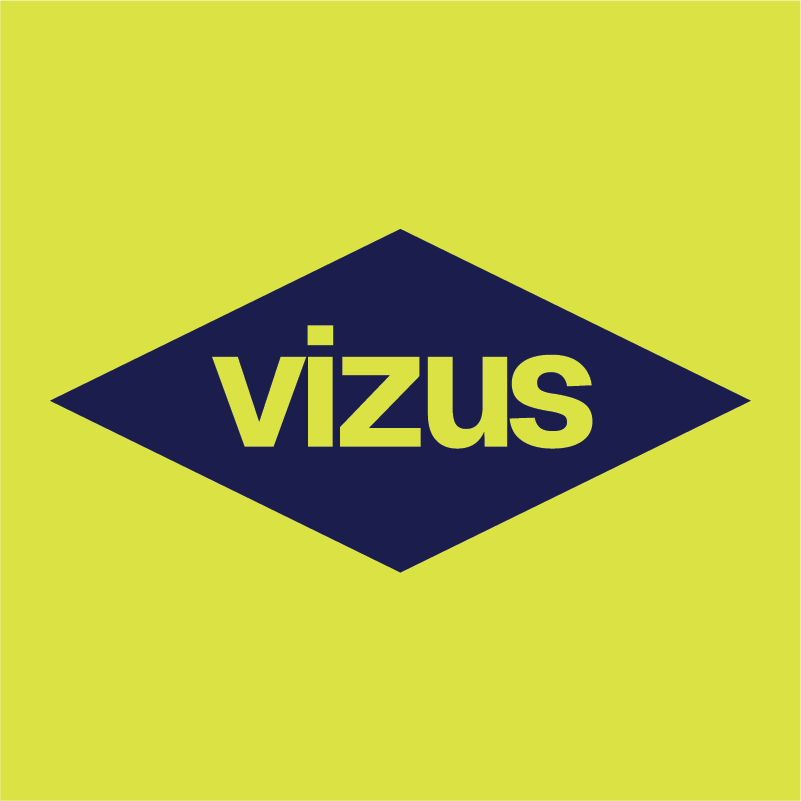 VIZUS GROUP logo