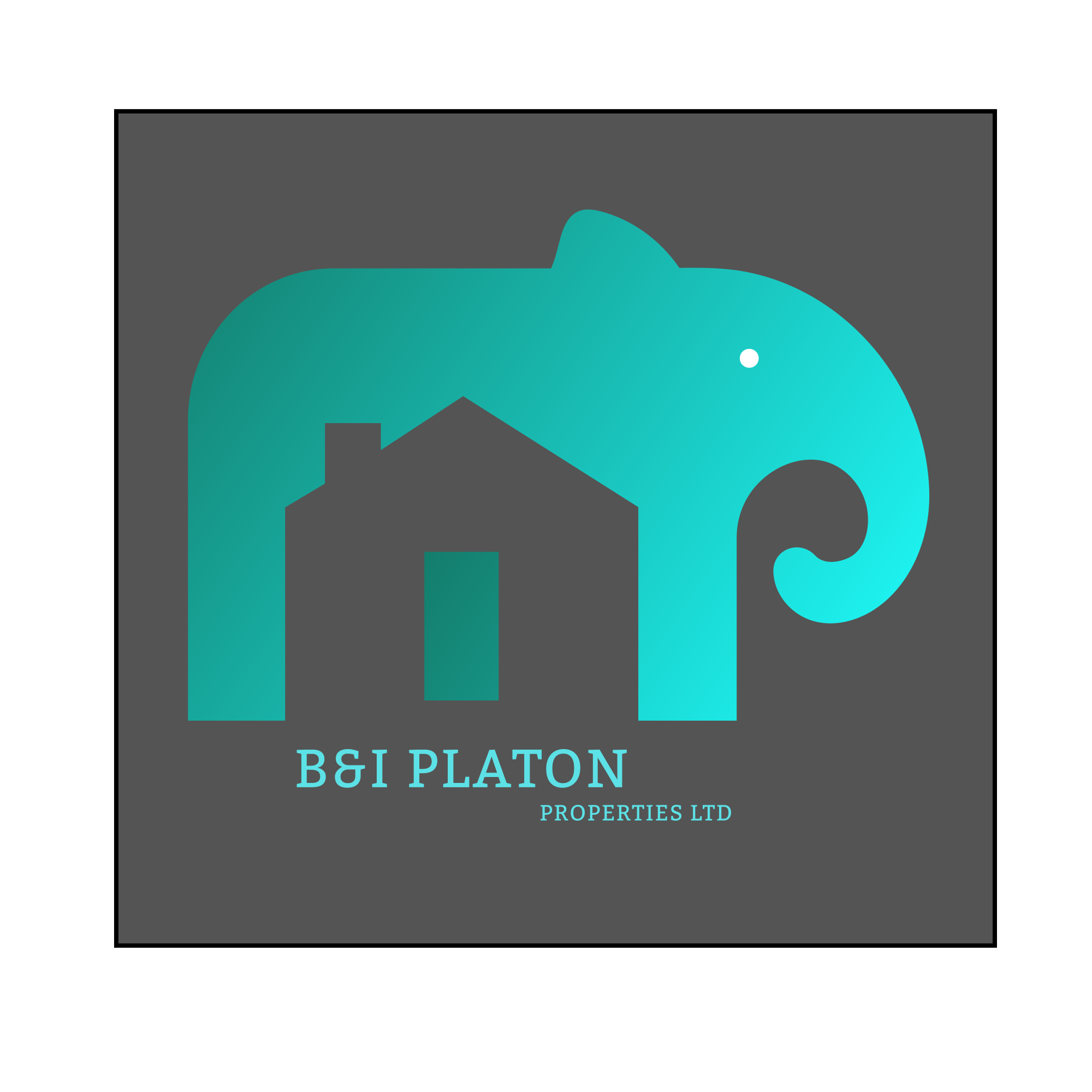 B&I PLATON PROPERTIES LTD λογότυπο