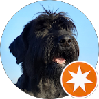 Photo de Marc Dubois, plombier – avis client MaPresenceWeb