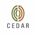 Cedar Management Consulting International