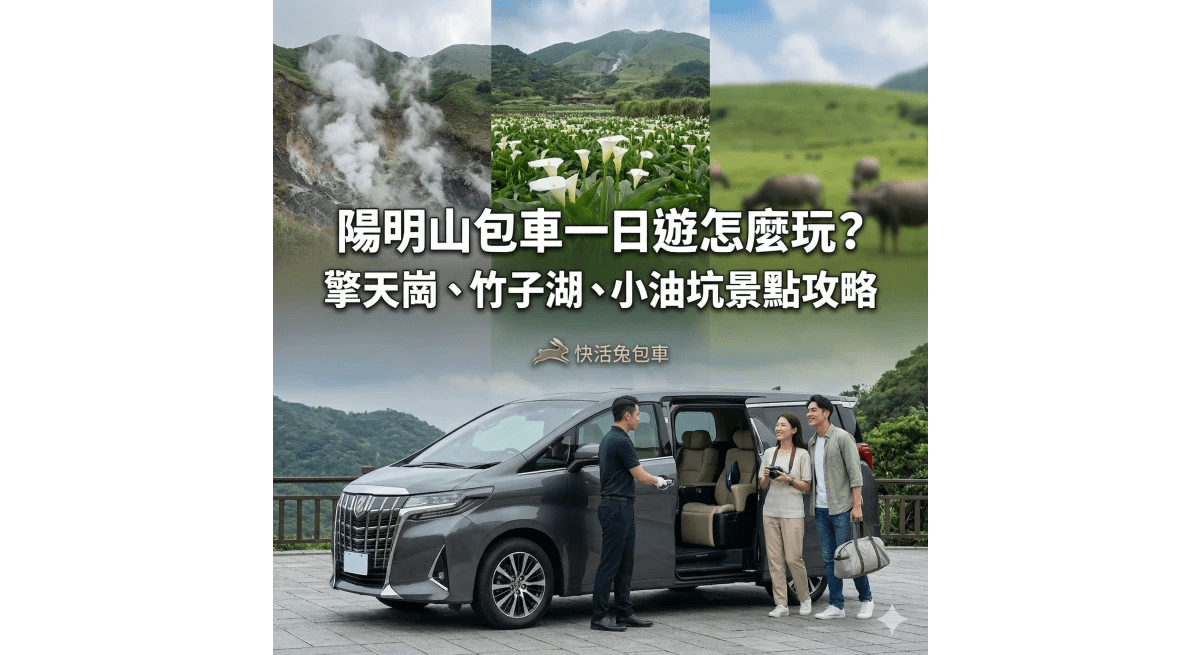 陽明山包車一日遊怎麼玩？擎天崗、竹子湖、小油坑景點攻略