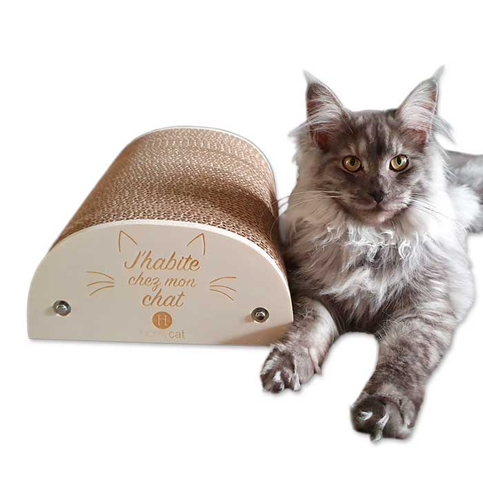  Griffoir pour chat demi-rond de la marque Homycat, "J'HABITE CHEZ MON CHAT"