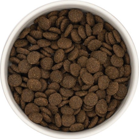 Croquettes sans céréales pour chien adulte à l’agneau - UNIQ Dog - Sac 12kg (Prix/kg : 7.83)