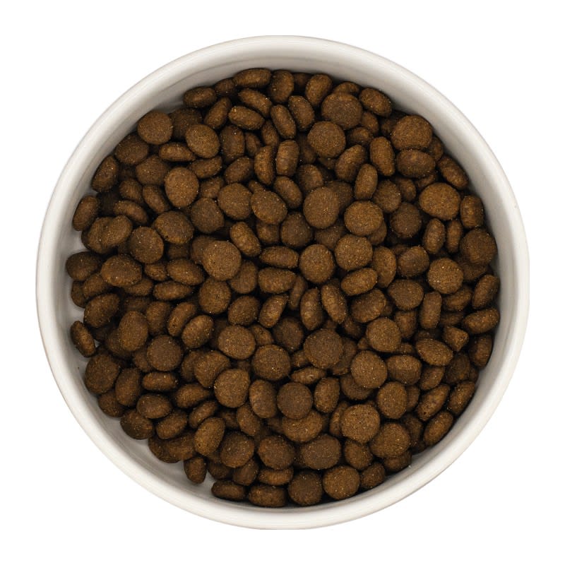 Croquettes sans céréales UNIQ Cat  pour chat adulte au saumon 7.5kg (Prix/kg 10.39)