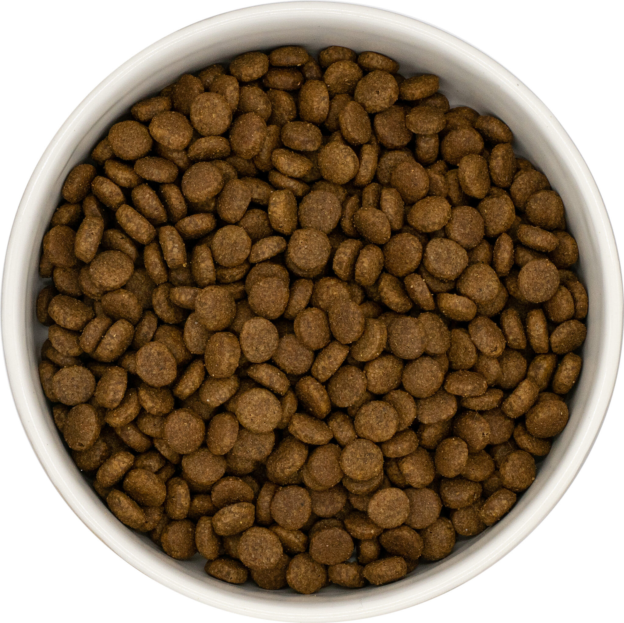 UNIQ Cat – Croquettes hypoallergéniques chat stérilisé – canard et sardines (Prix/kg 11,39)
