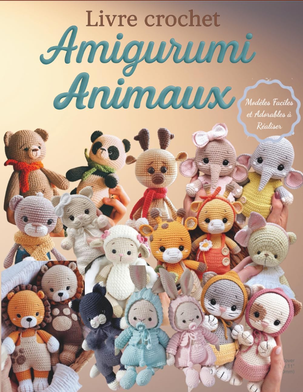 Vue 4 de Chales Etoles Ajourees