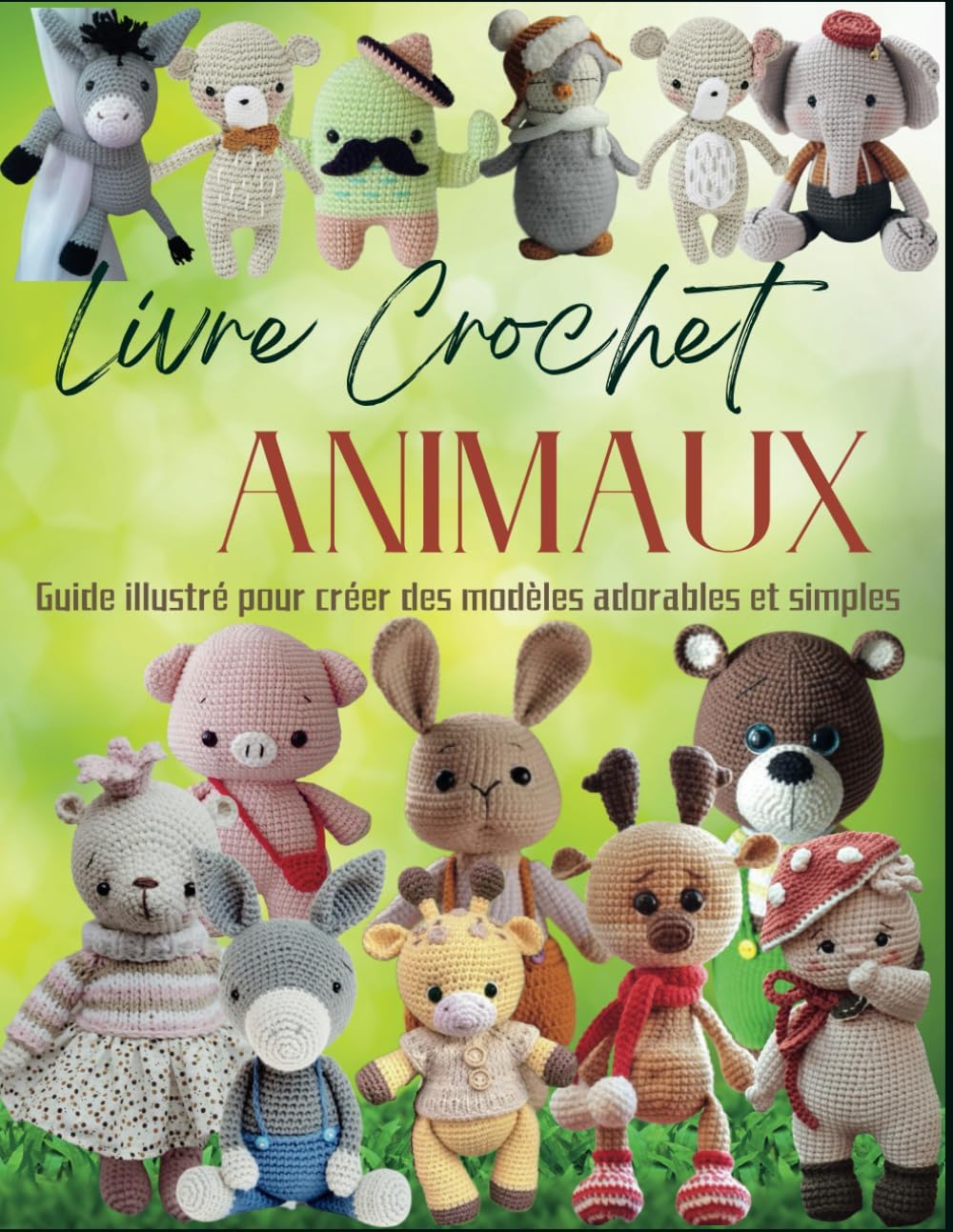 Vue 6 de Chales Etoles Ajourees