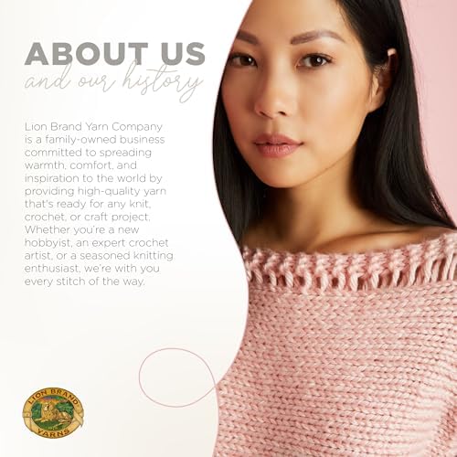 Vue 6 de Lion Brand Yarn Acrylique