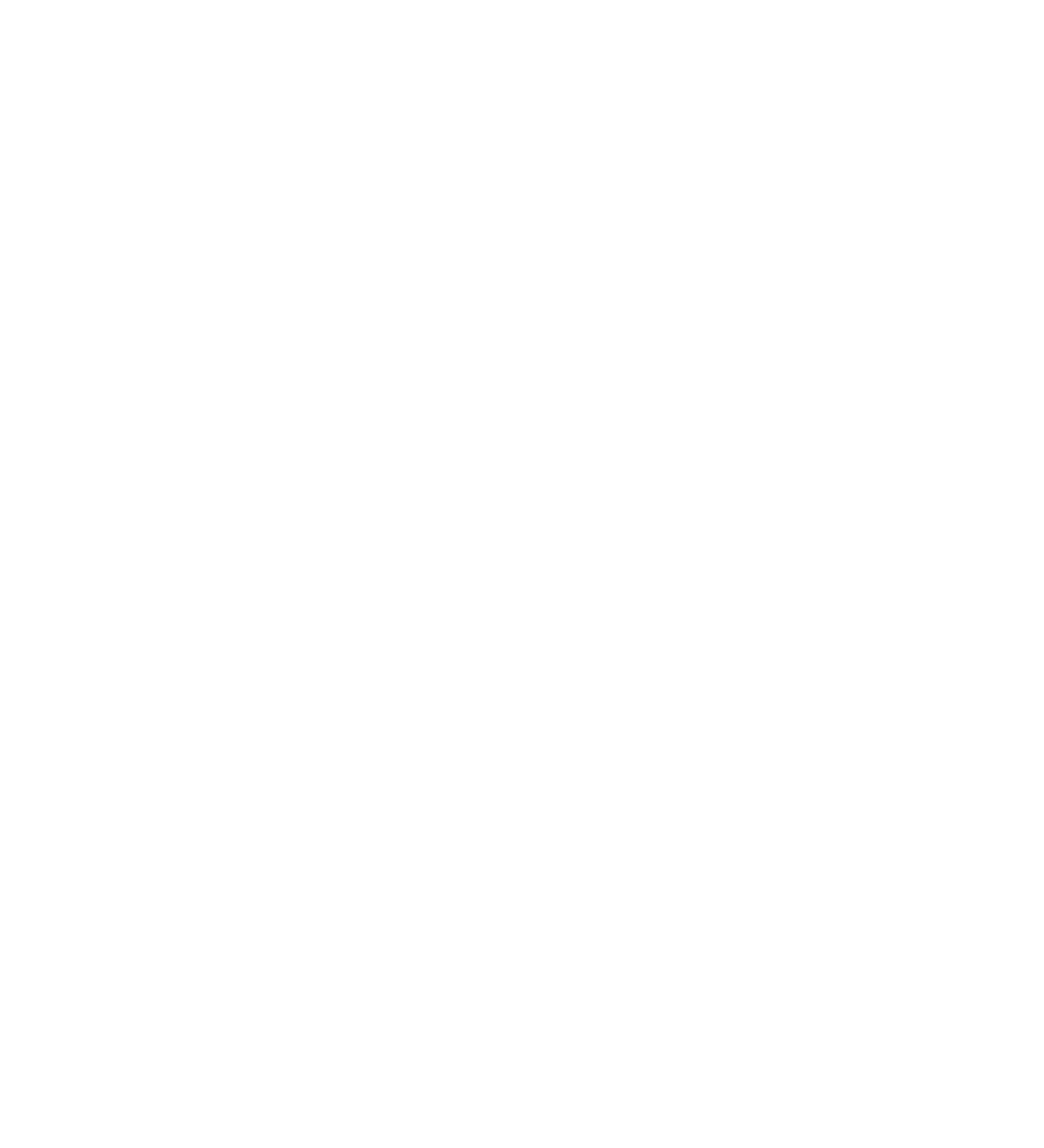 sas weiß.png